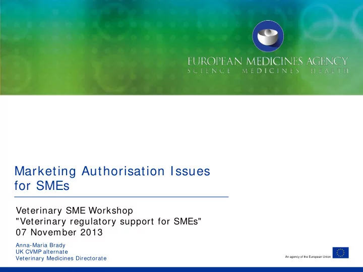 marketing authorisation issues for smes