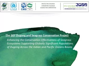 Enhancing the Conservation Effectiveness of Seagrass  Ecosystems Supporting Globally Significant