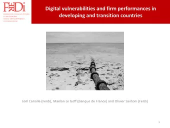 Digital vulnerabilities and firm performances in developing and transition countries  Jol