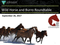 wild horse and burro roundtable