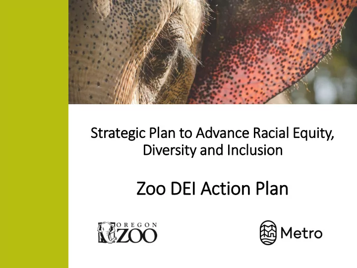 strategic pla lan to advance racia ial equit ity div