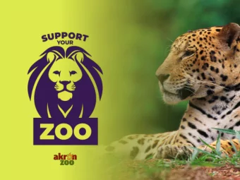 THE  AKRON ZOO ENHANCES ...  CONSERVATION  EDUCATION  COMMUNITY  WHERE HAVE WE BEEN?  Since 2011,
