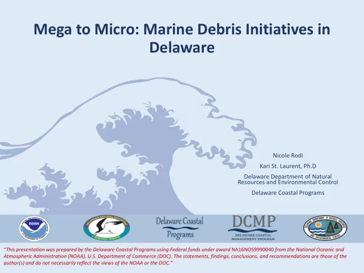 mega to micro marine debris initiatives in delaware