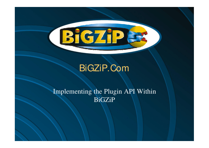 bigzip com