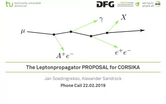 The Leptonpropagator PROPOSAL for CORSIKA  Jan Soedingrekso, Alexander Sandrock  Phone Call