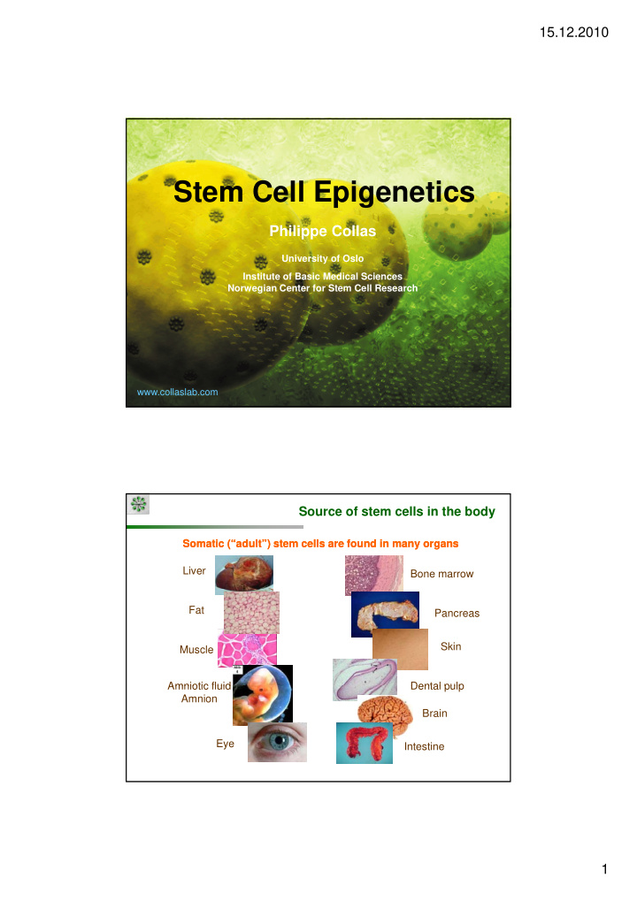 stem cell epigenetics