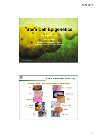 Stem Cell Epigenetics  Philippe Collas  University of Oslo  Institute of Basic Medical Sciences
