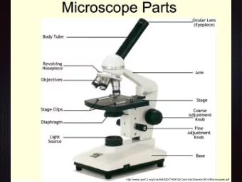 http://www.cpsk12.org/cms/lib8/MO01909752/Centricity/Domain/3616/Microscopes.pdf