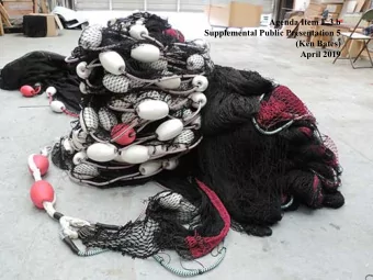 Agenda Item E.3.b  Supplemental Public Presentation 5  (Ken Bates)  April 2019