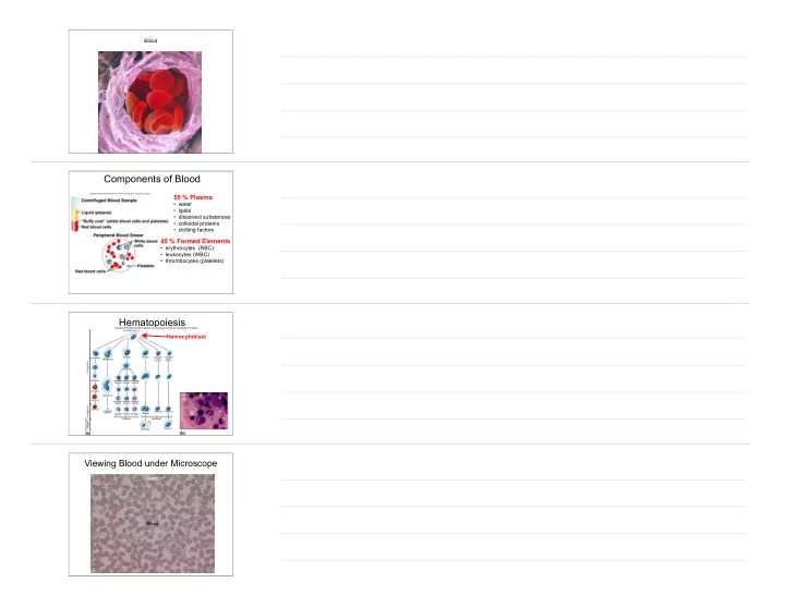 components of blood