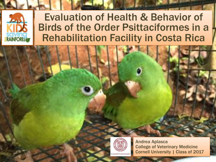 evaluation of health amp behavior of birds of the order