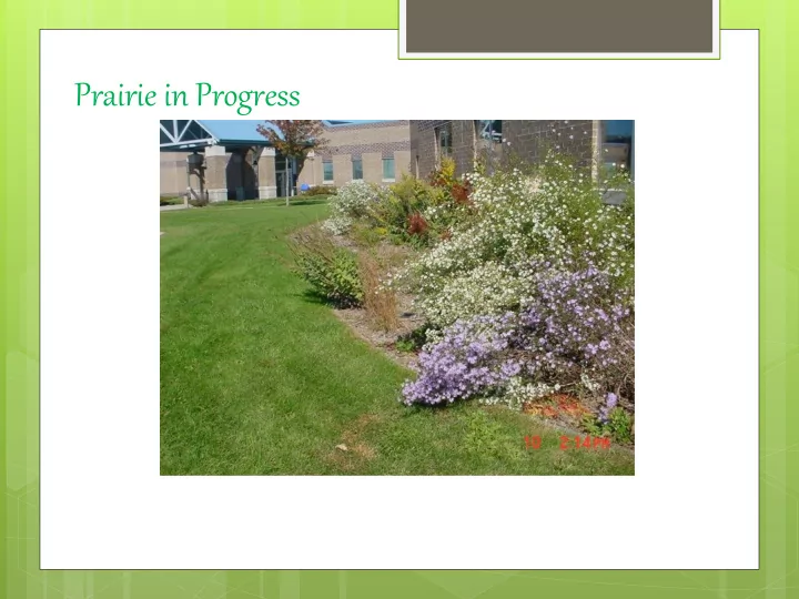 prairie in progress t a ke us b a c k to a b la nk c a