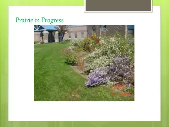 Prairie in Progress  T  a ke  us b a c k to  a  b la nk c a nva s thre e  ye a rs a g o