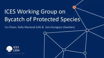 ICES Working Group on  Bycatch of Protected Species  Co-Chairs: Kelly Macleod (UK) &amp;  Sara