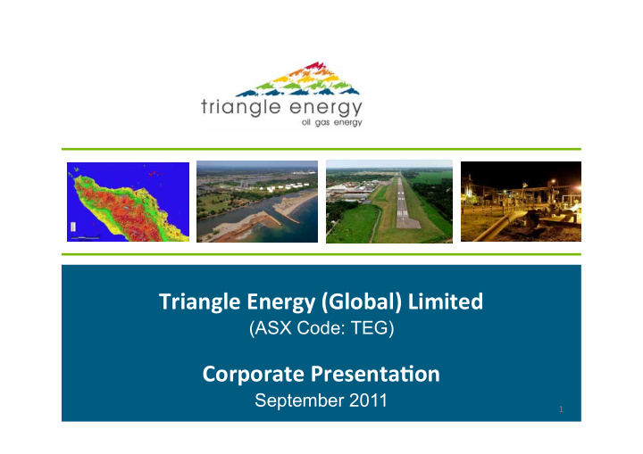 triangle energy global limited
