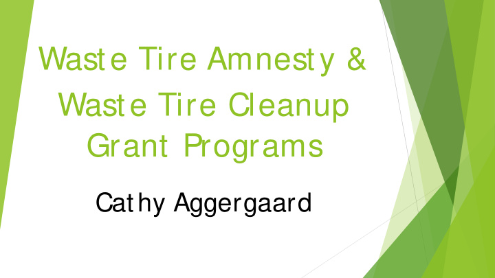 waste tire amnesty waste tire cleanup grant programs
