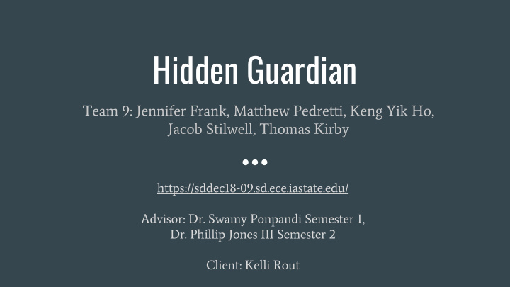 hidden guardian