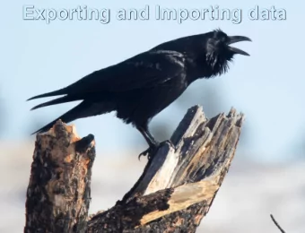 Exporting and Importing data  Overview for  exporting/importing data  Create an export on one