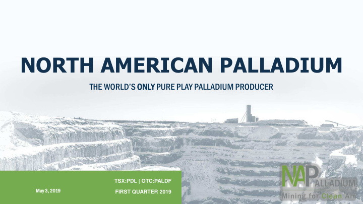 north american palladium