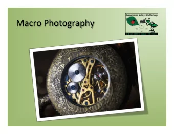 Macro Photography  Macro Photography  Photography of small  items larger than life  size. Typical