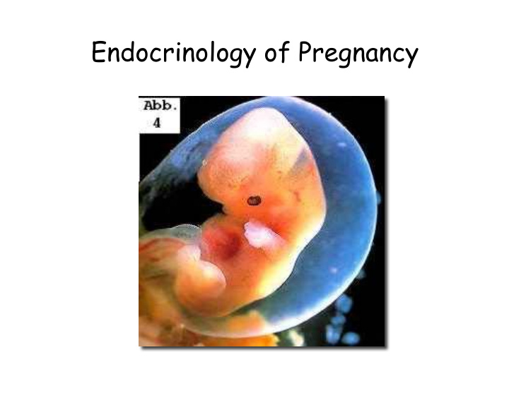 endocrinology of pregnancy gravidity oviparous species