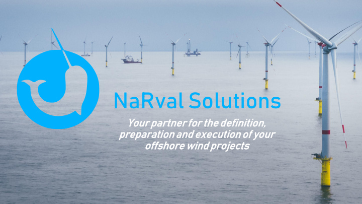 narval solutions
