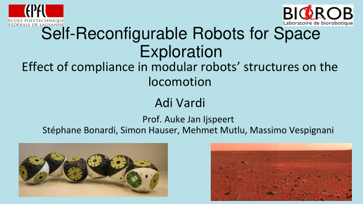 self reconfigurable robots for space