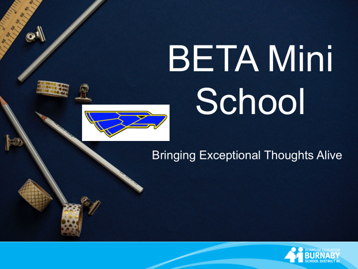 beta mini school