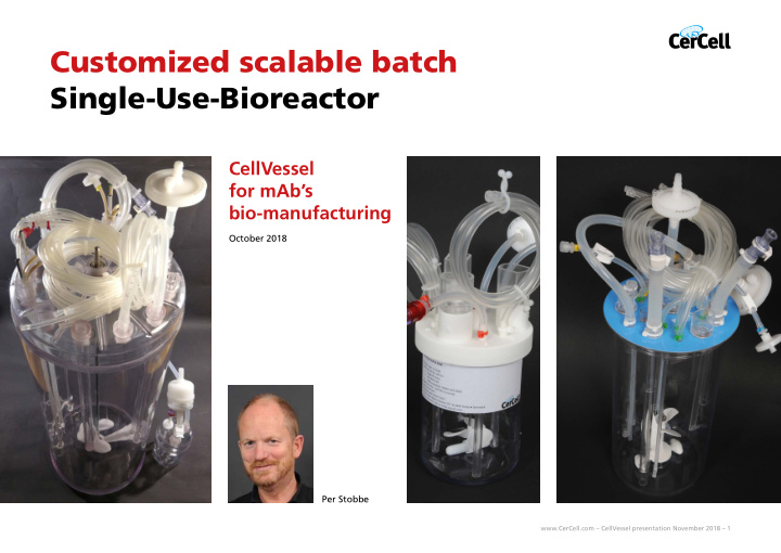 customized scalable batch single use bioreactor