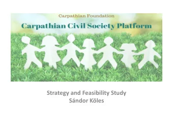 Strategy and Feasibility Study  Sndor Kles  PARTNERS  Acknowledgements  The project is