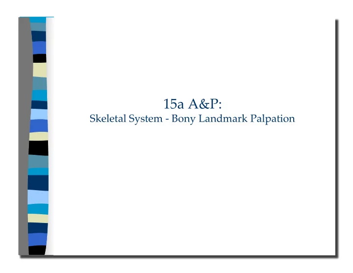 skeletal system bony landmark palpation 15a a amp p