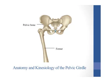 Anatomy and Kinesiology of the Pelvic Girdle  Lesson Plan:  44a  Anatomy and Kinesiology of the