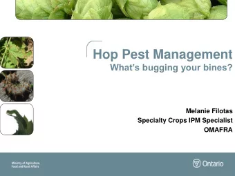 Hop Pest Management Whats bugging your bines?  Melanie Filotas  Specialty Crops IPM Specialist