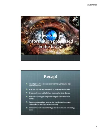 How is color  information processed in the brain?  Shahn Ijaz  Recap! Visual perception start as