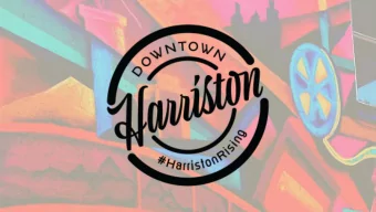 WHAT IS HARRISTON RISING?  Harriston Rising was initiated in June 2019 and is a  grass roots,