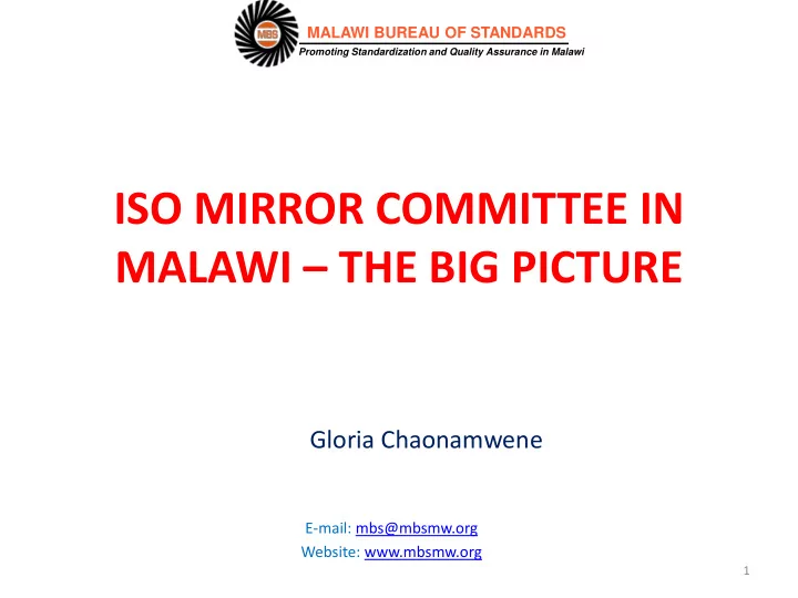 iso mirror committee in malawi the big picture