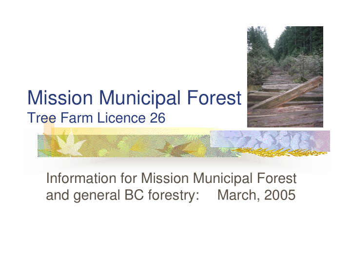 mission municipal forest