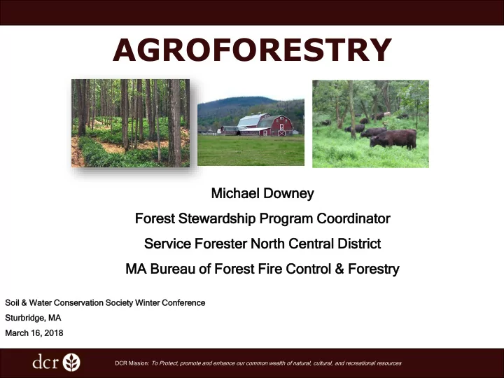 agroforestry