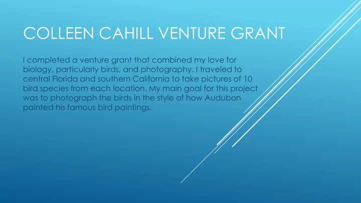 colleen cahill venture grant