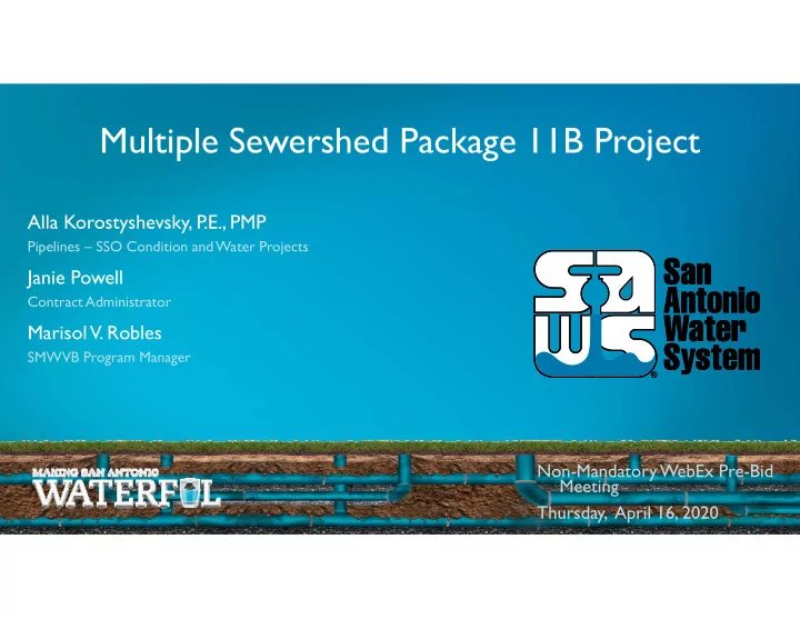 multiple sewershed package 11b project