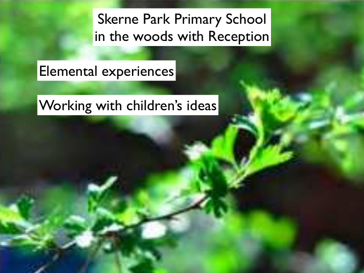 skerne park primary school in the woods with reception