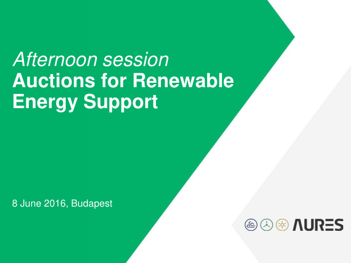 afternoon session auctions for renewable energy support