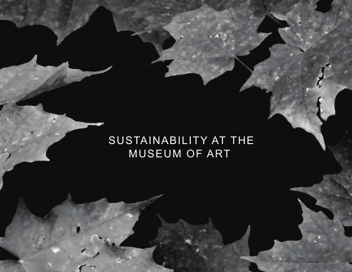 sustainability at the museum of art what is sustainability