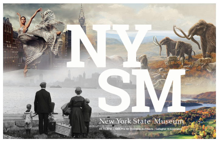 new york state museum