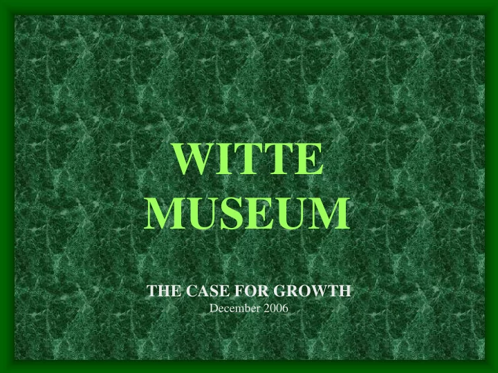 witte museum