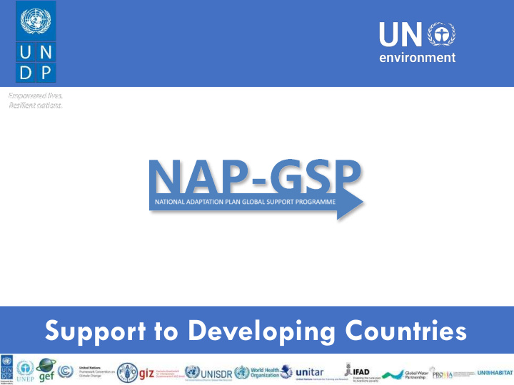 support to developing countries program institutional