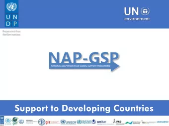 Support to Developing Countries  Program institutional arrangements UNFCCC process (CoP, AC)