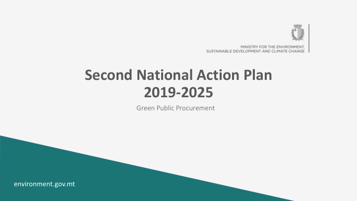 second national action plan