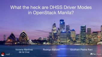 What the heck are DHSS Driver Modes  in OpenStack Manila?  Victoria Martnez  Rodrigo Barbieri