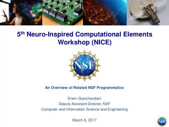 5 th Neuro-Inspired Computational Elements  Workshop (NICE)  An Overview of Related NSF